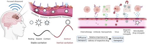 Towards controlled drug delivery in brain tumors with microbubble-enhanced focused ultrasound