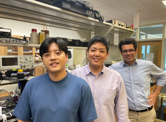 New Insights into Microbubble Dynamics and Blood-Brain Barrier Function: A Collaborative Breakthrough