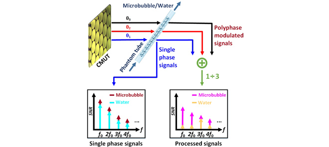 CMUT as a Transmitter for Microbubble-Assisted Blood-Brain Barrier Opening