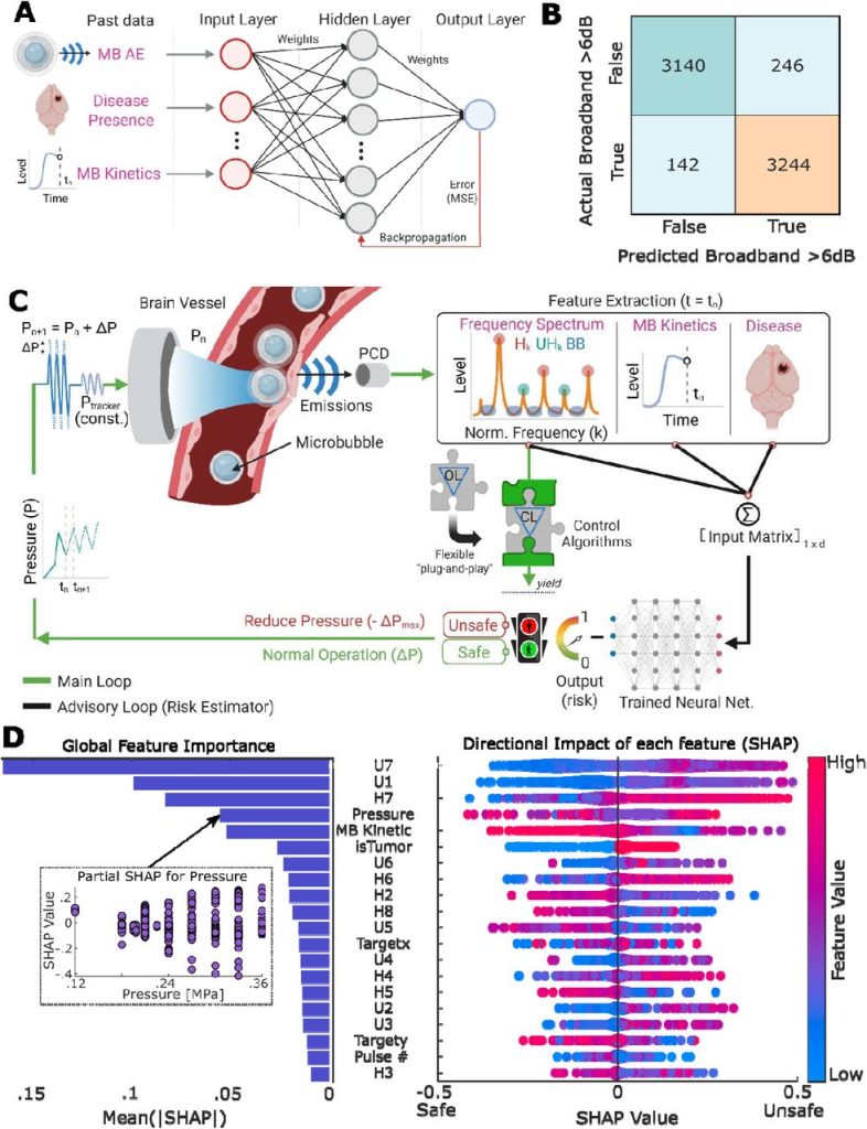 figure from Data-driven feedback augments ultrasound nanotheranostics in brain tumors paper