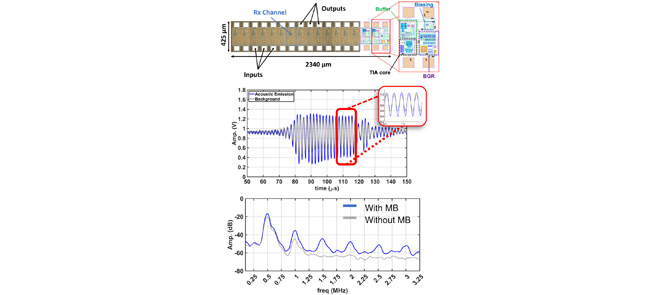 A high sensitivity CMUT-based passive cavitation detector for monitoring microbubble dynamics during focused ultrasound interventions